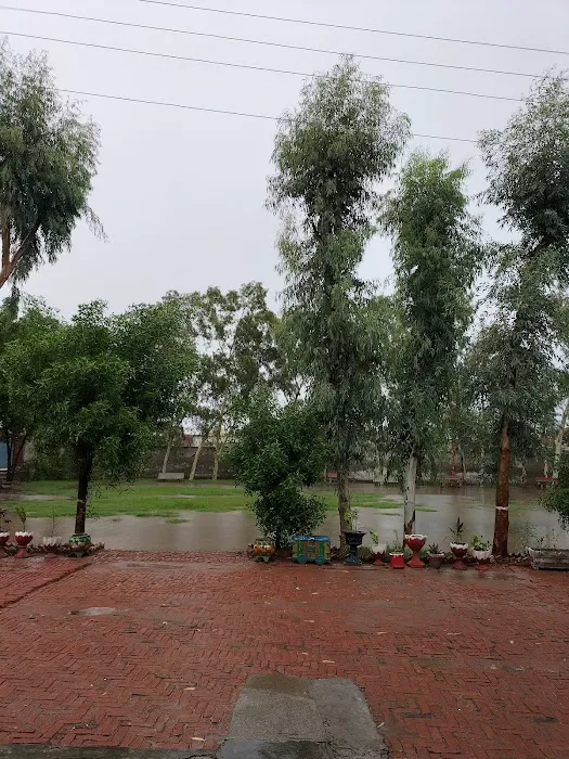 Govt. Women college, phularwan Picture 3
