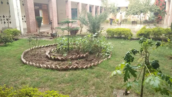 Government Associate College Phularwan (Sargodha). Picture 5