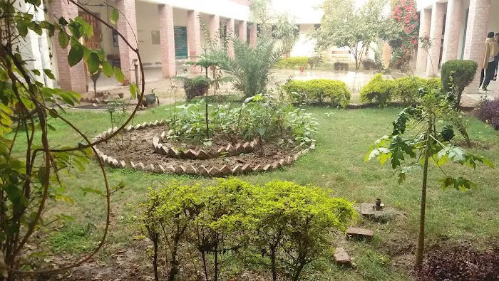 Government Associate College Phularwan (Sargodha). Picture 6
