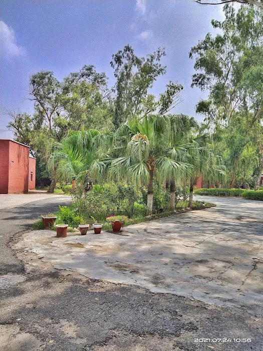 Govt. Graduate College Bhalwal Picture 3
