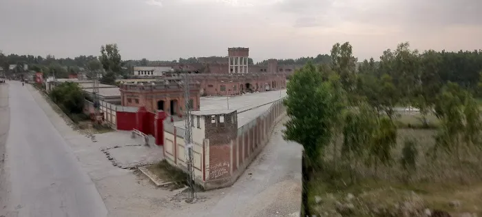 Government girls' degree college Sawaldher, Mardan Picture 1