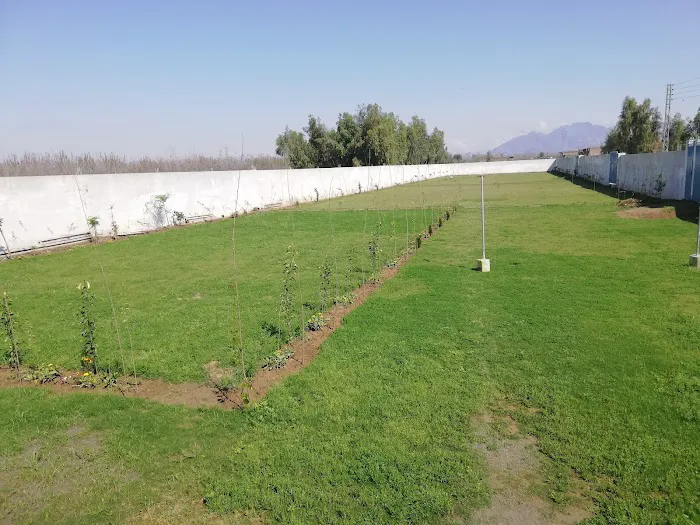 IQRA Vision College of Science & Information Technology Picture 7