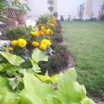 MARDAN, Regional Office AIOU