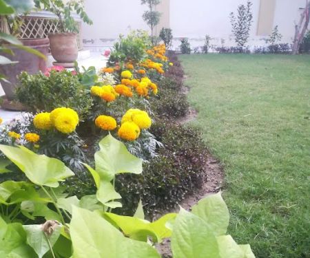 MARDAN, Regional Office AIOU