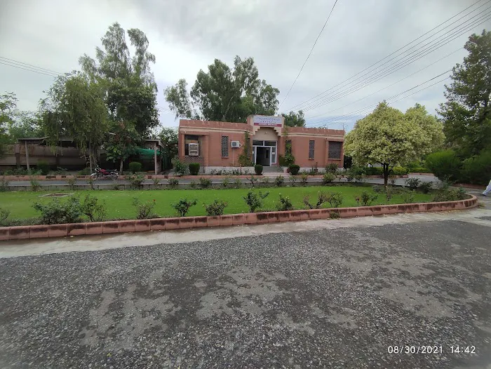 MTI-Mardan College of Nursing BKMC Picture 1