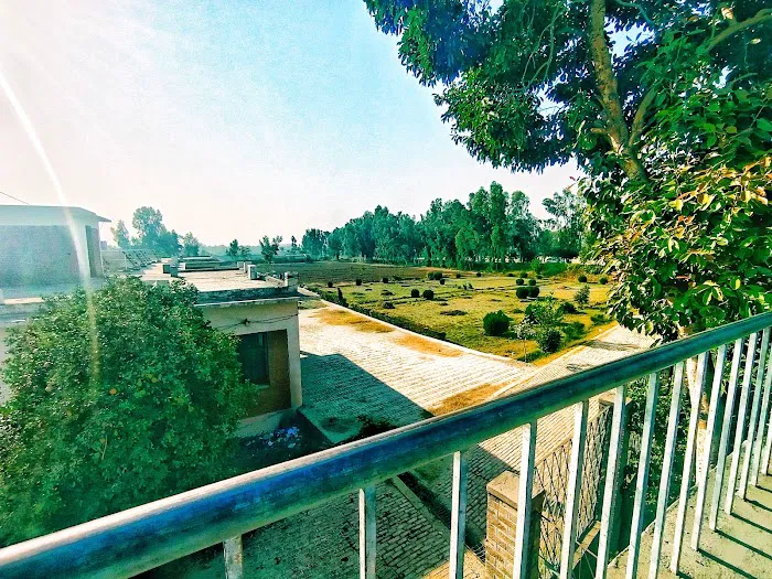 Govt Degree College Tangi, Charsadda Picture 2