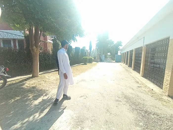 Govt Degree College Tangi, Charsadda Picture 4