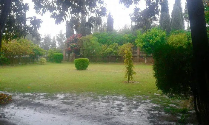 Govt Degree College Tangi, Charsadda Picture 8