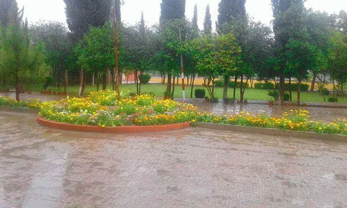 Govt Degree College Tangi, Charsadda Picture 3