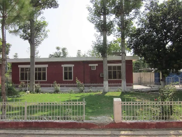 Govt Girls Degree College Tangi Picture 2