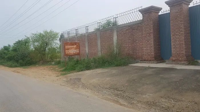 Govt Girls Degree College Tangi Picture 4