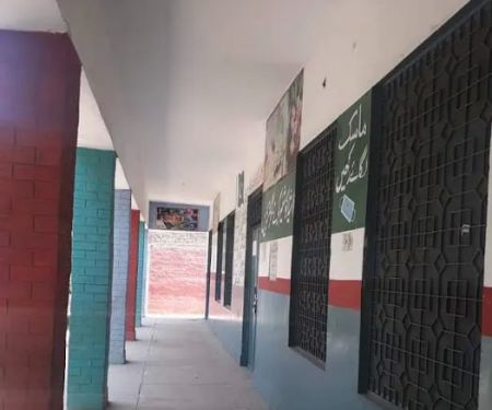 Govt Elementary School