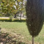 FG Degree College for Girls