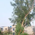 Govt institute for slowlearners