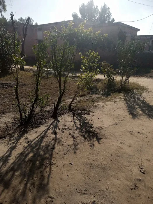 GTTI Jauharabad Picture 9