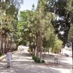Shawal Public High school and College 🎓
