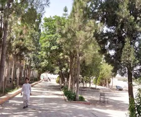 Shawal Public High school and College 🎓