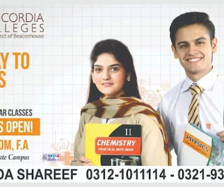 Concordia college Saida Shareef
