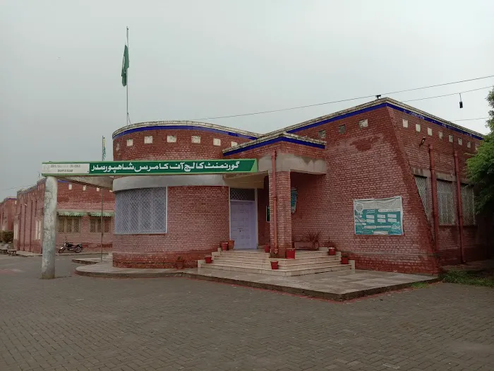 Govt College of Commerce Shahpur Saddar Picture 4
