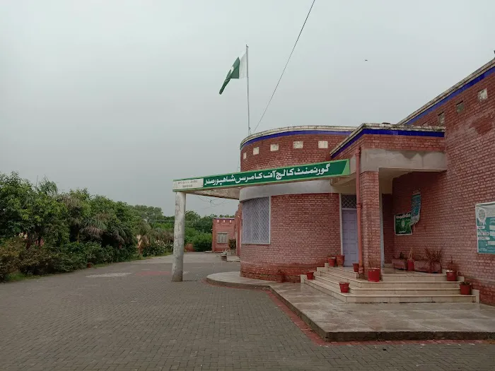 Govt College of Commerce Shahpur Saddar Picture 3