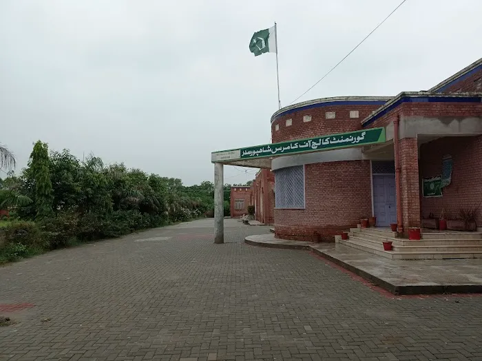 Govt College of Commerce Shahpur Saddar Picture 5