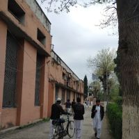 Office of the Head of Department Sociology ico