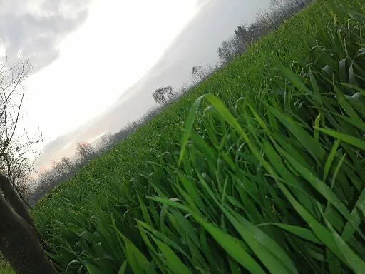 Shahid hussain & Brothers house Picture 1