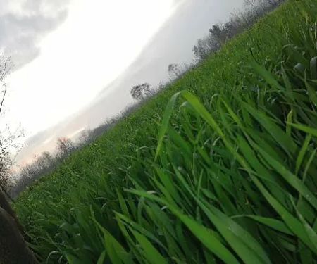 Shahid hussain & Brothers house