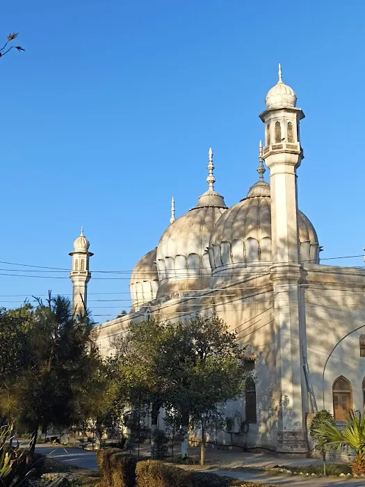 Islamia College University Peshawar Picture 7