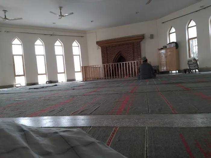 Forest Bazar Masjid Picture 3