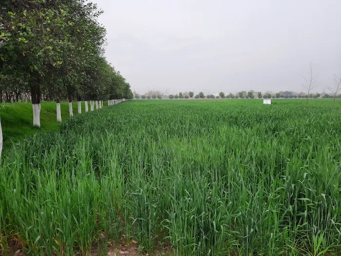 The University of Agriculture Picture 10