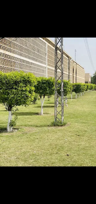 Institute of Development Studies (IDS) Picture 2