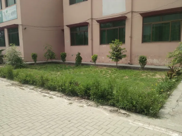 Govt. Degree College for Women Ghakhar, Mandi, Gujranwala Picture 4