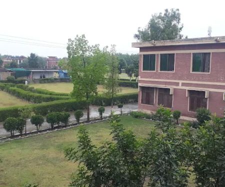 Bacha Khan University باچا خان پوهنتون