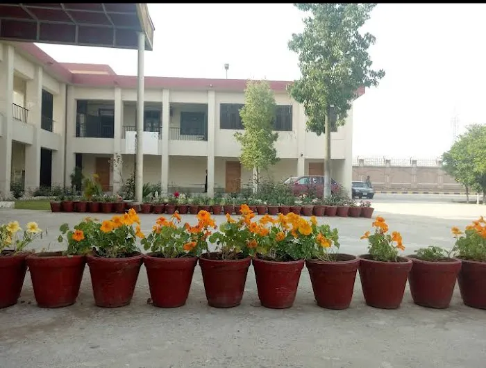 Bacha Khan University باچا خان پوهنتون Picture 4