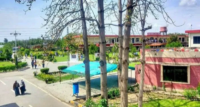 Bacha Khan University باچا خان پوهنتون Picture 8
