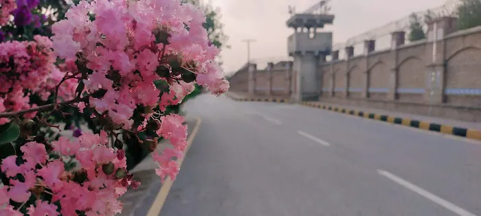 Department of sociology bkuc Picture 9