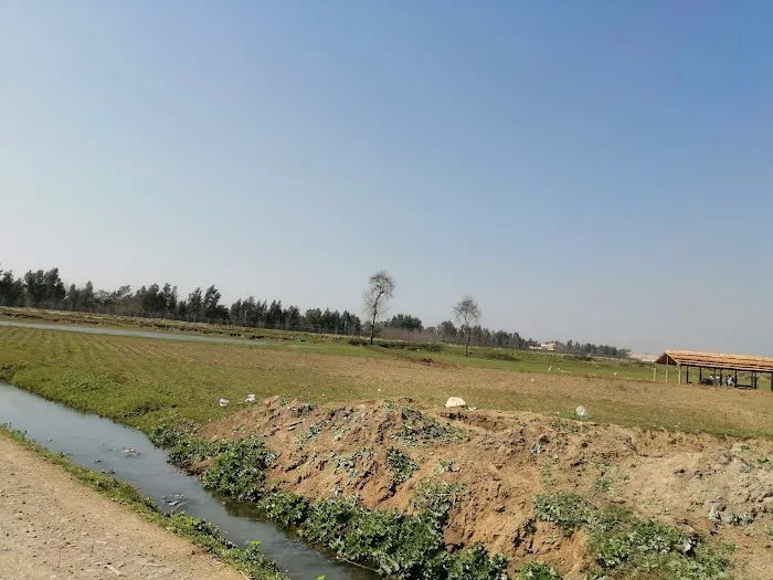 Bacha Khan University Main Campus Charsadda Picture 9