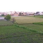 Govt. Model Primary School,Kolowal