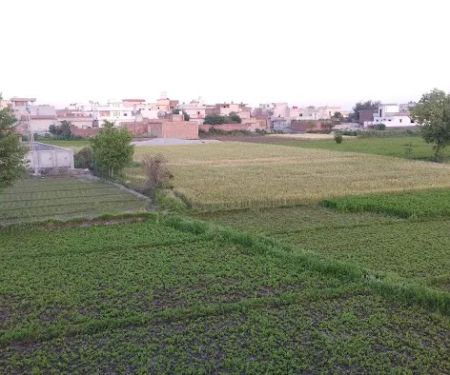 Govt. Model Primary School,Kolowal