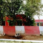 Govt Model Primary School Chak Alam