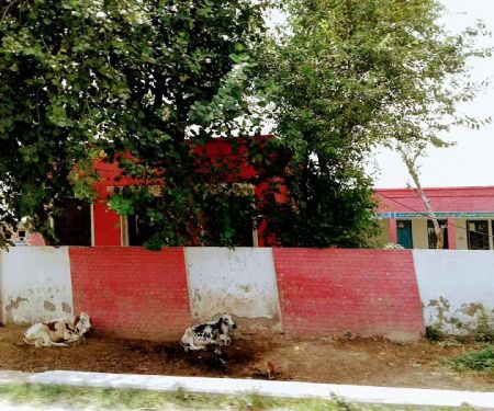 Govt Model Primary School Chak Alam