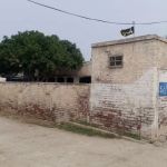 Govt Model Primary School Chak 48