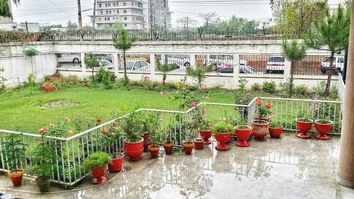 AIOU Regional Campus Peshawar Picture 6
