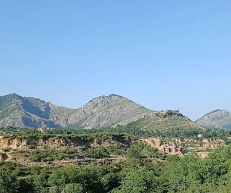 Govt Primary School Seronai Mishti