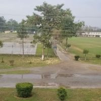 Pakistan Forest Institute (PFI), Peshawar ico