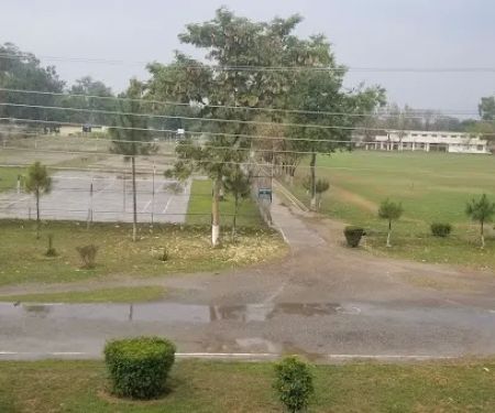Pakistan Forest Institute (PFI), Peshawar