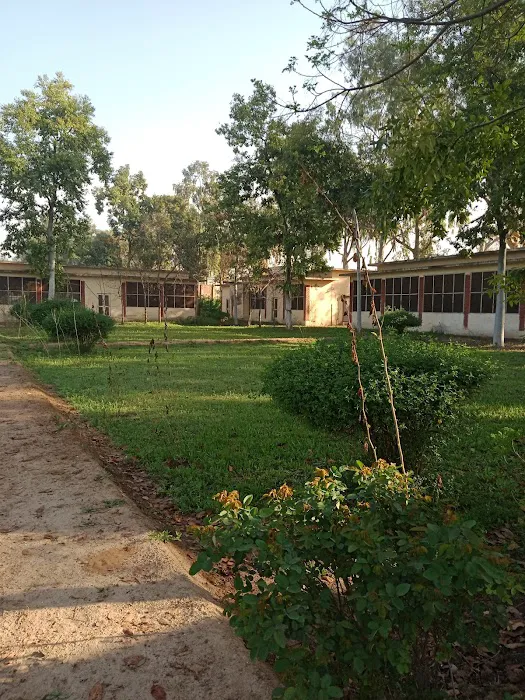 Pakistan Forest Institute (PFI), Peshawar Picture 7