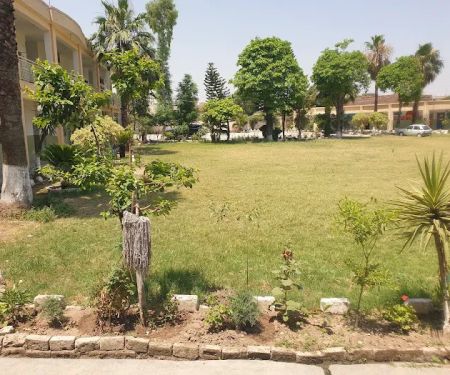 Allama Iqbal Model School&College Tarlai Kalan