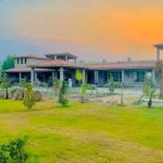 Mamu khatki peshawar
